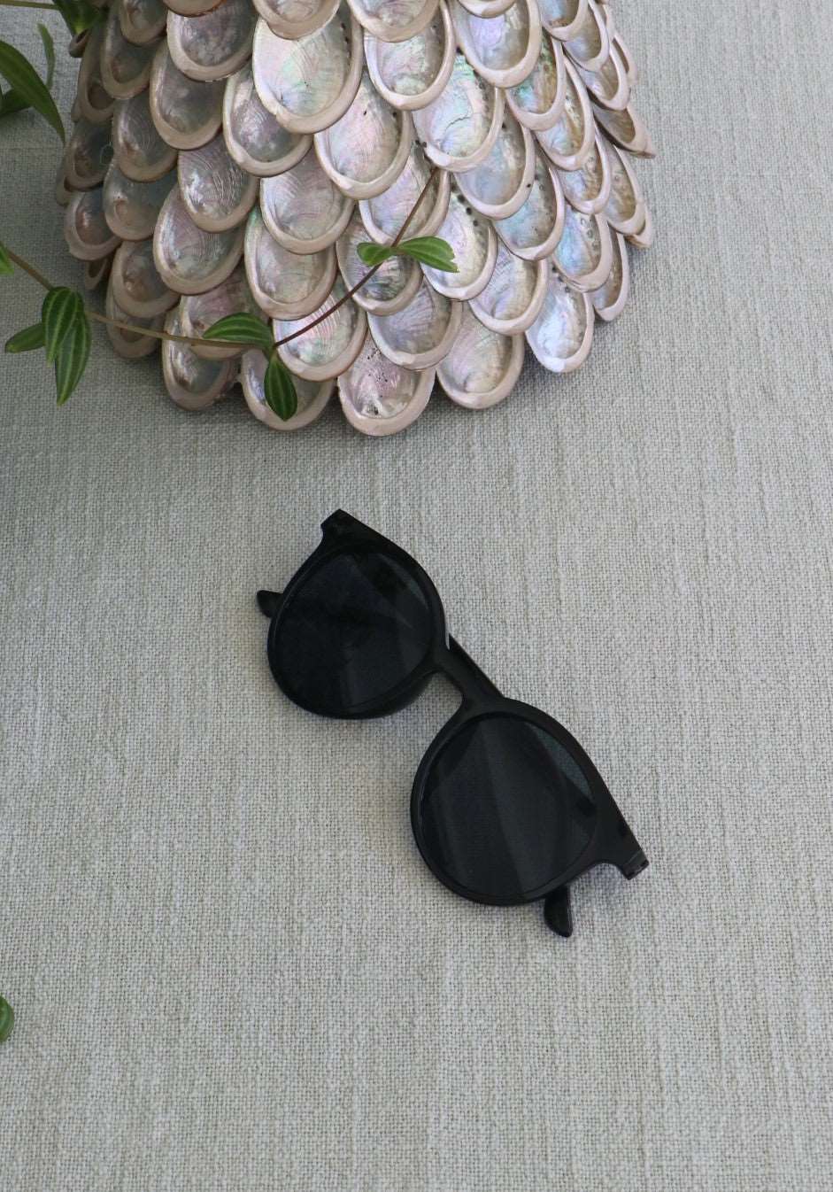 Ladies Sunglasses - Pippah